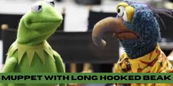 muppet with long hooked beak