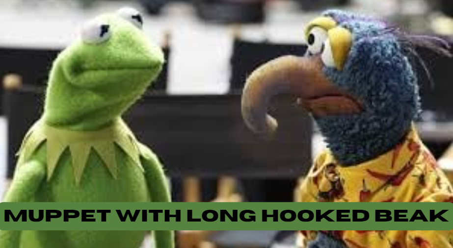 muppet with long hooked beak