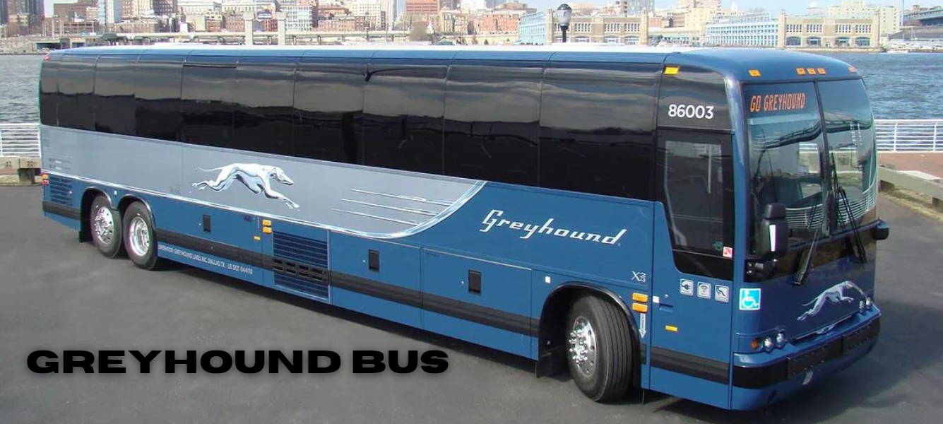 greyhound bus