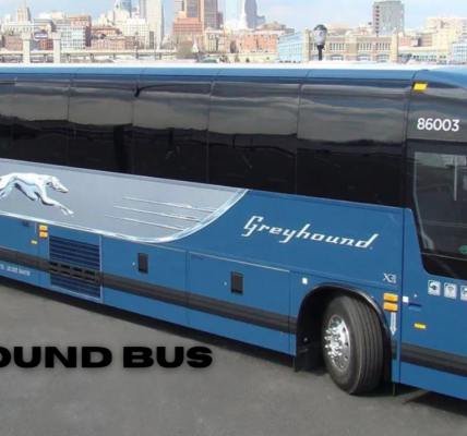 greyhound bus