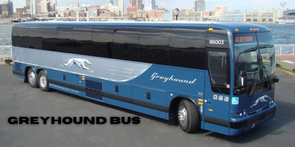 greyhound bus