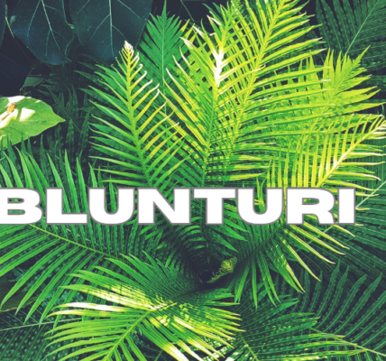 Blunturi