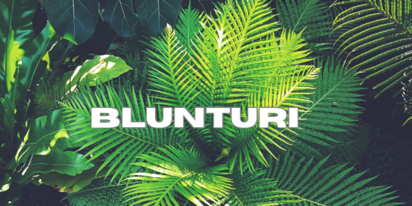 Blunturi