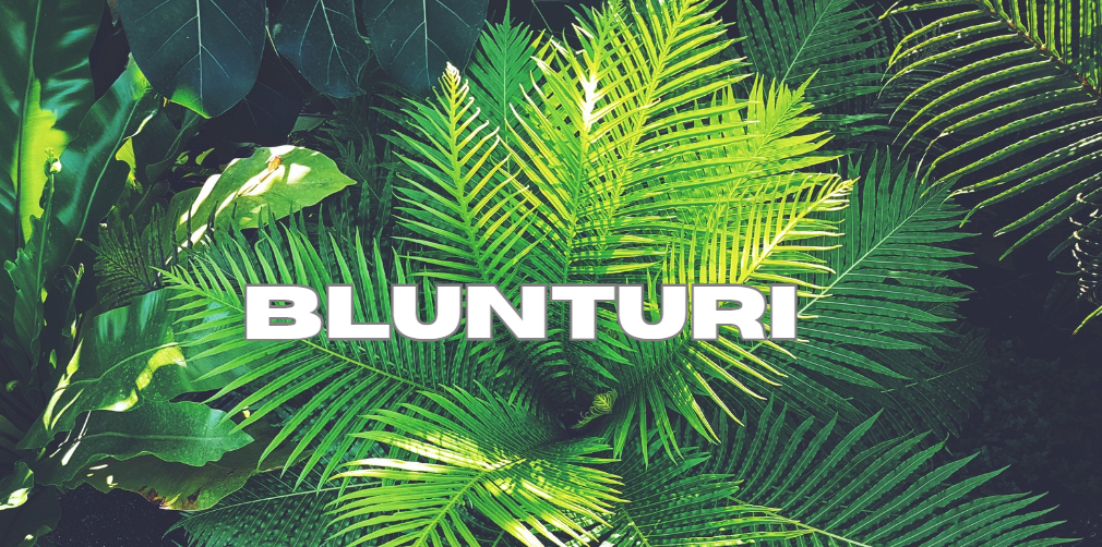 Blunturi