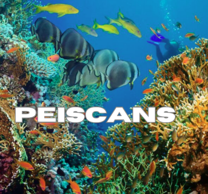 peiscans