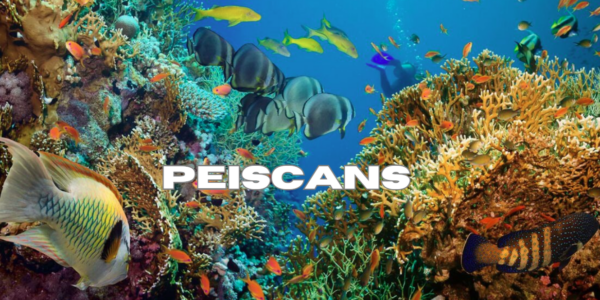 peiscans