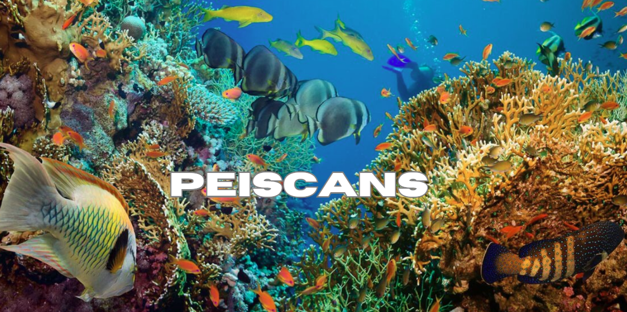 peiscans